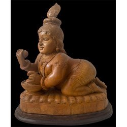 Laddu Gopal